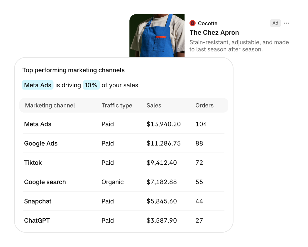 Shopify 官方界面图：Unified marketing reports 在分析后台区分流量来源